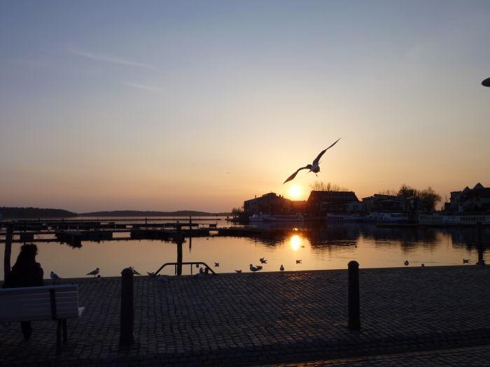 Apartment Yachthafen Waren Zewnętrze zdjęcie